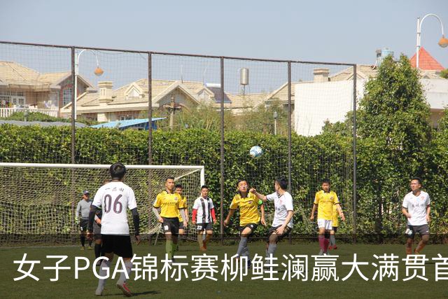 女子PGA锦标赛柳鲑澜赢大满贯首胜 殷若宁张维维T37